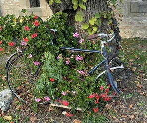 Property grounds - Gîtes de France® - La Grangette de Pechplazen (RUDELLE)