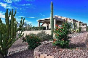 Un edificio con techo plano y un cactus grande al frente.