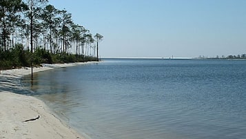 Vlak bij het strand