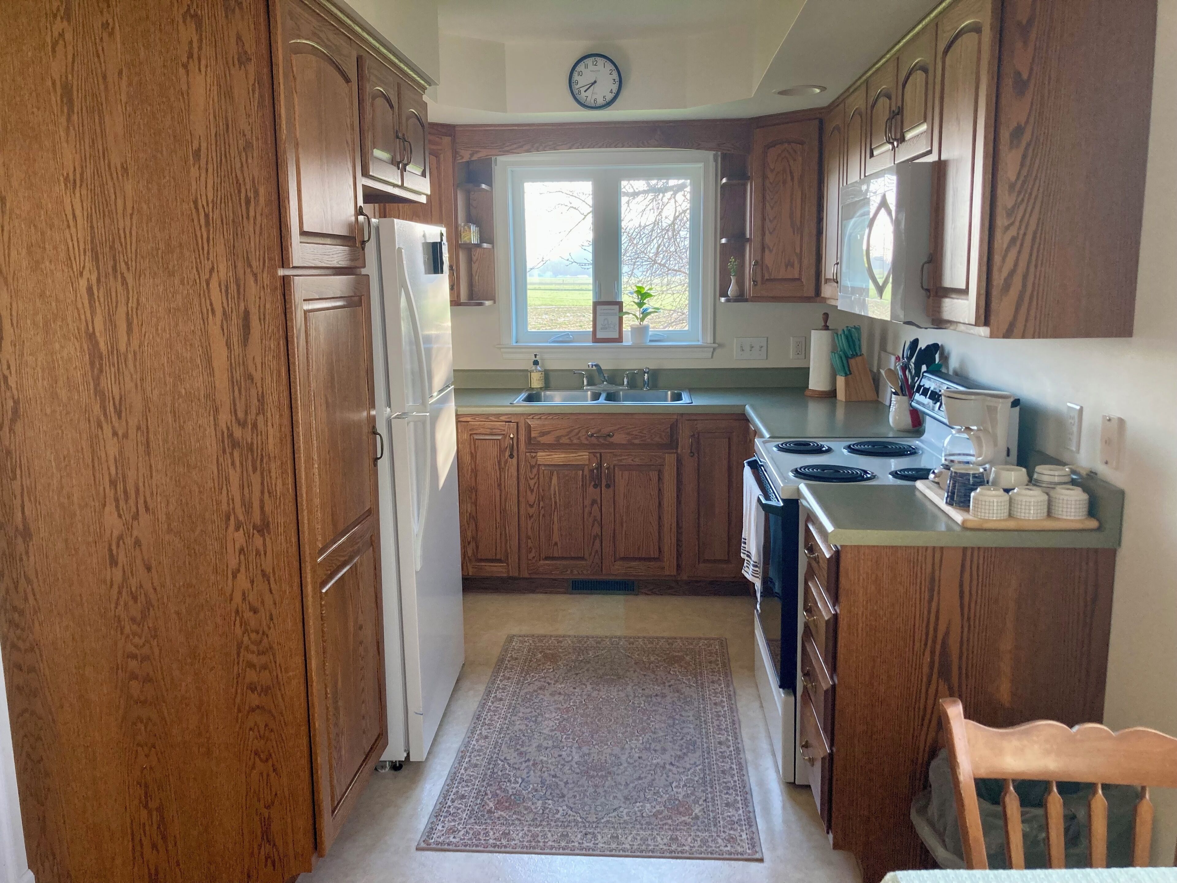 Microwave, oven, stovetop, dishwasher