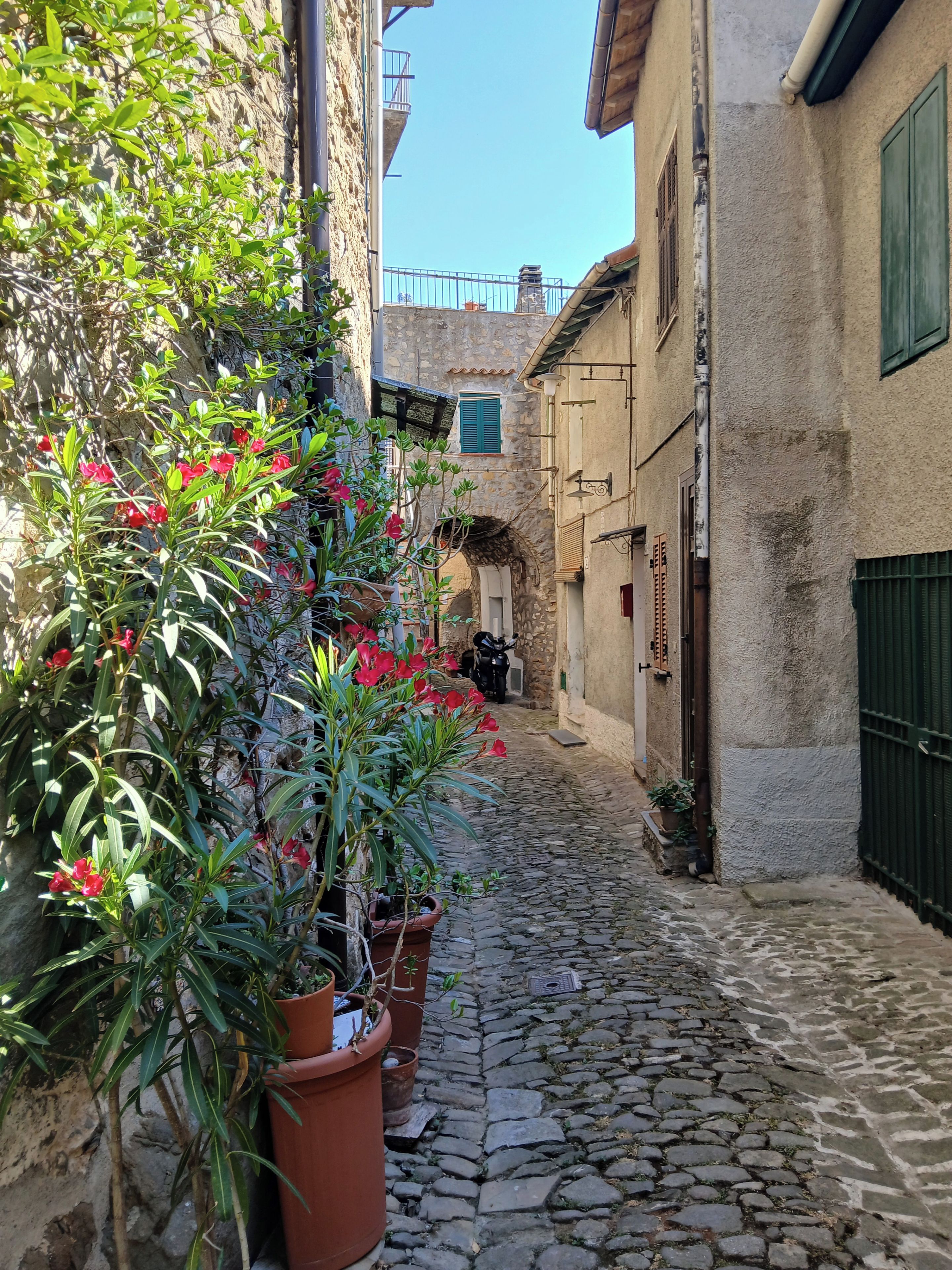 A narrow cobblestone street flanked by buildings with stone walls and green shutters.