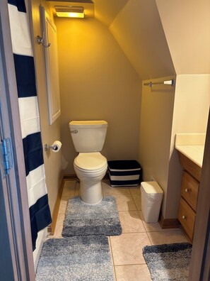 Bathroom - 2-bedroom duplex in Mt. Washington on quiet family street near Grandview Ave. (Pittsburgh)