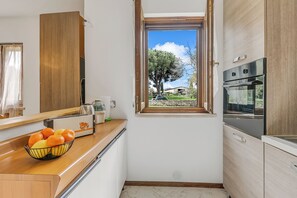 Eine kleine Küche mit Fenster, einem Toaster und einer Obstschale auf der Arbeitsfläche.