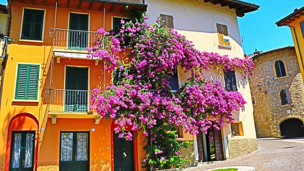 Un edificio con balcón, puerta y ventana.