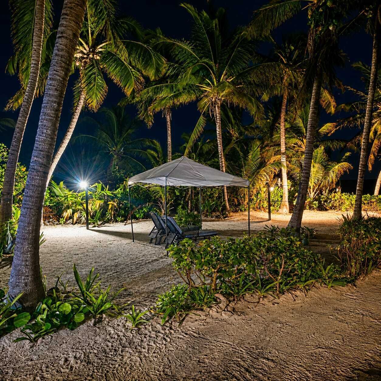 A beach with palm trees, a covered seating area, and a sandy path.