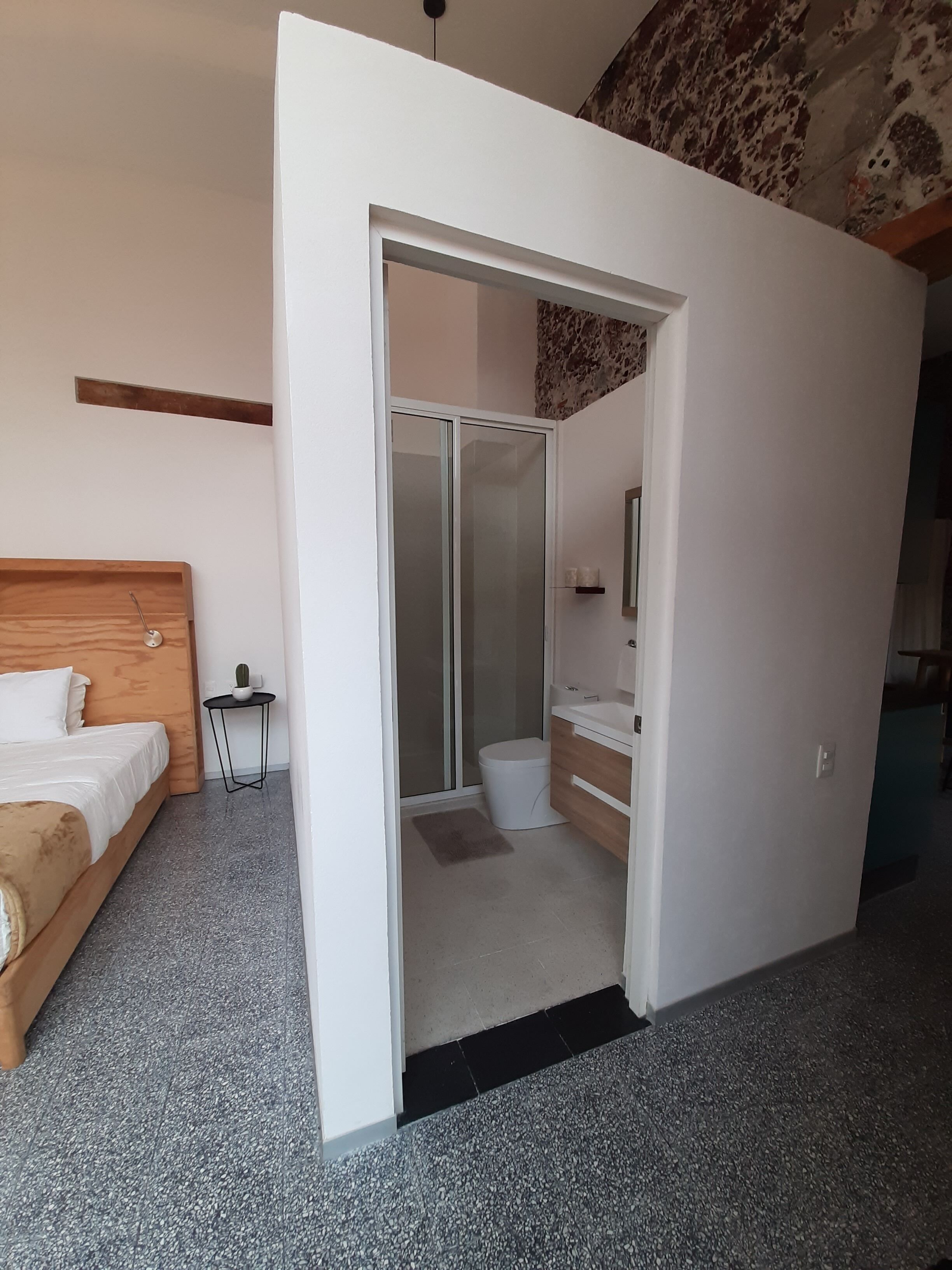 Una habitación de hotel moderna con una cama de madera, una mesita de noche con una planta, un baño con cabina de ducha de vidrio y un lavabo blanco.