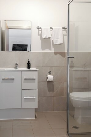 A modern bathroom with a glass shower enclosure, a white sink with a mirror, and a toilet.