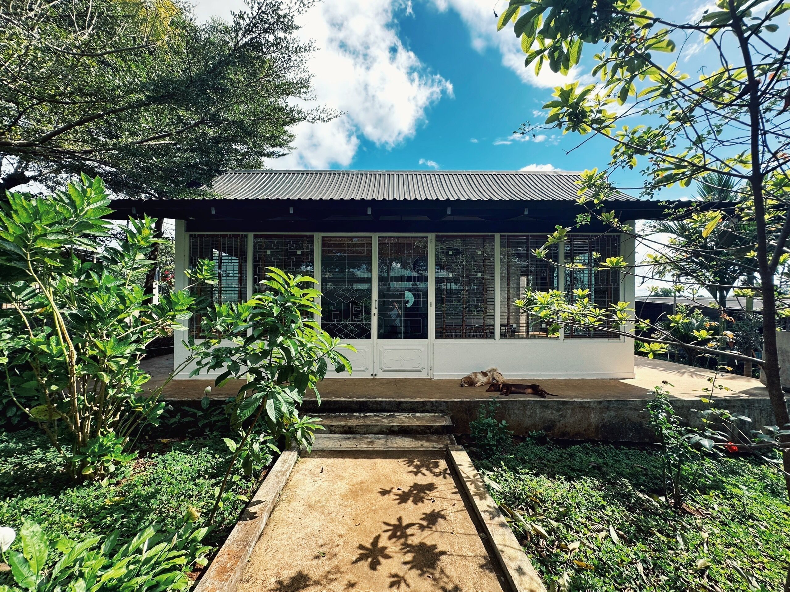 Standard Shared Dormitory, Mixed Dorm, Patio, Garden View | In-room safe, desk, laptop workspace, blackout drapes