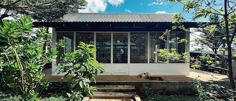 Standard Shared Dormitory, Mixed Dorm, Patio, Garden View | In-room safe, desk, laptop workspace, blackout drapes