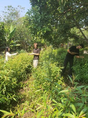 Jardines del alojamiento