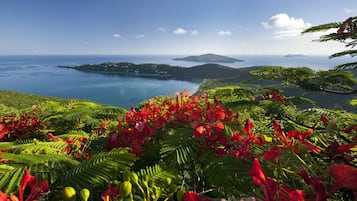 Apartment, 3 Bedrooms, Balcony | Exterior