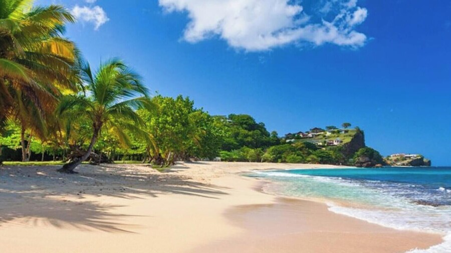 Tropical Breeze Grenada