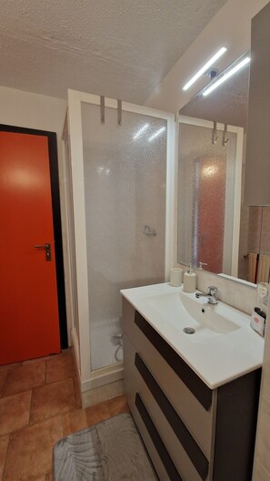 Shower, hair dryer, bidet, towels