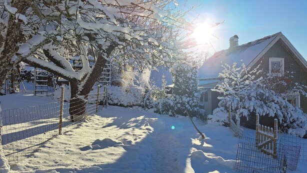 Een besneeerd landschap met een huis, een hek en een heldere lucht.