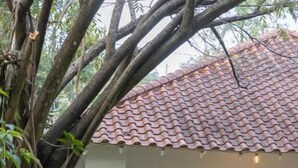 A white building with a tiled roof, a green sofa, and a potted plant. - Heuvel Villa Kandy (Kandy)