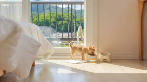 Room - Goseong Natural House Pension (Goseong)