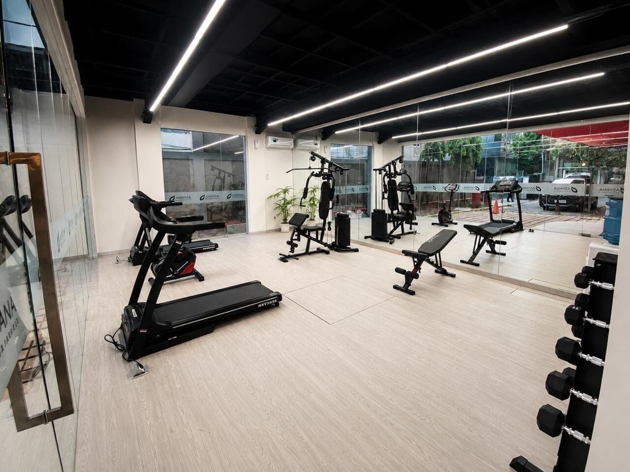 Gimnasio
