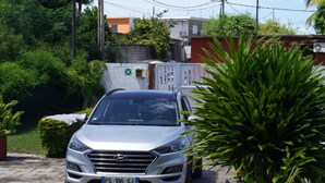 A silver SUV parked on a paved driveway with a brick wall and greenery in the background.