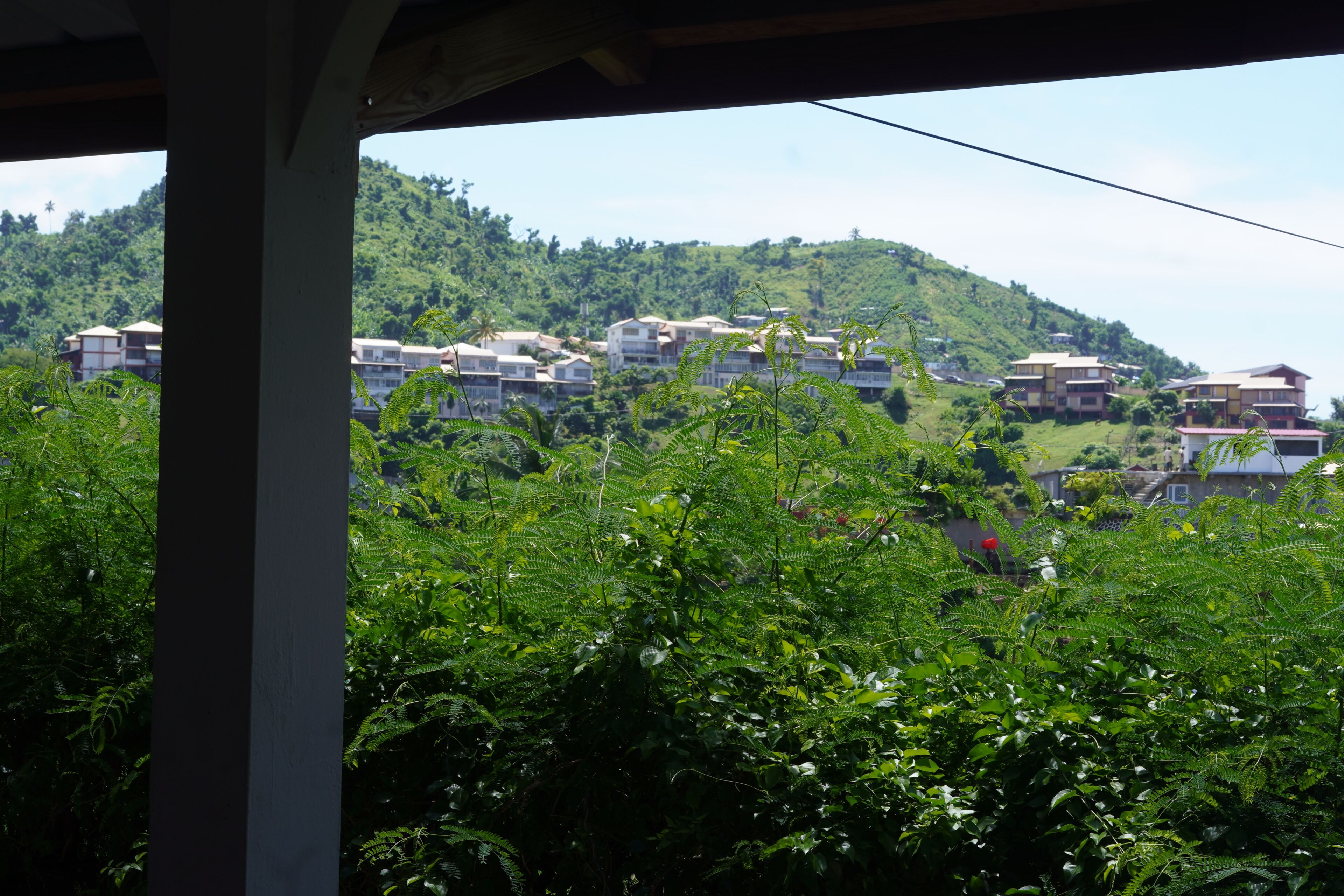 Vista de una colina con edificaciones, rodeada de vegetación exuberante.