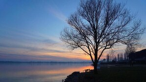 A tree by a calm lake at dusk. - Majestic Villa Retreat (Assisi)