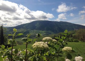 View from property - Majestic Villa Retreat (Assisi)