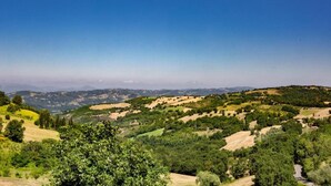 A panoramic view of a hilly landscape with scattered trees and fields. - Majestic Villa Retreat (Assisi)