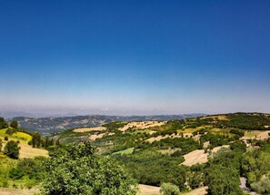 A panoramic view of a hilly landscape with scattered trees and fields. - Majestic Villa Retreat (Assisi)