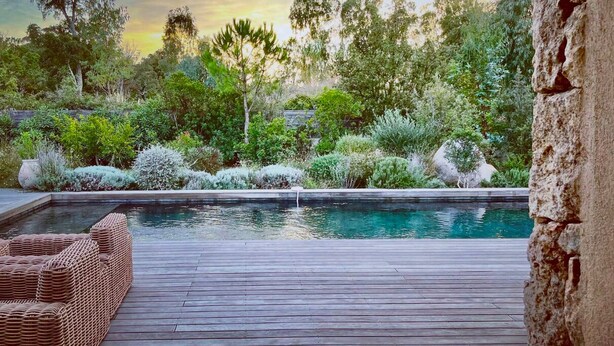 Une terrasse en bois avec une piscine, entourée d’une végétation luxuriante et d’un mur de pierre.
