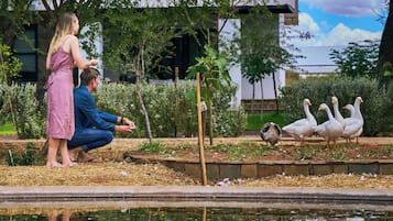 Áreas de la propiedad