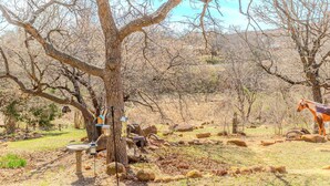 Un albero con mangiatoie per uccelli, una statua e rocce sparse in un ambiente naturale.