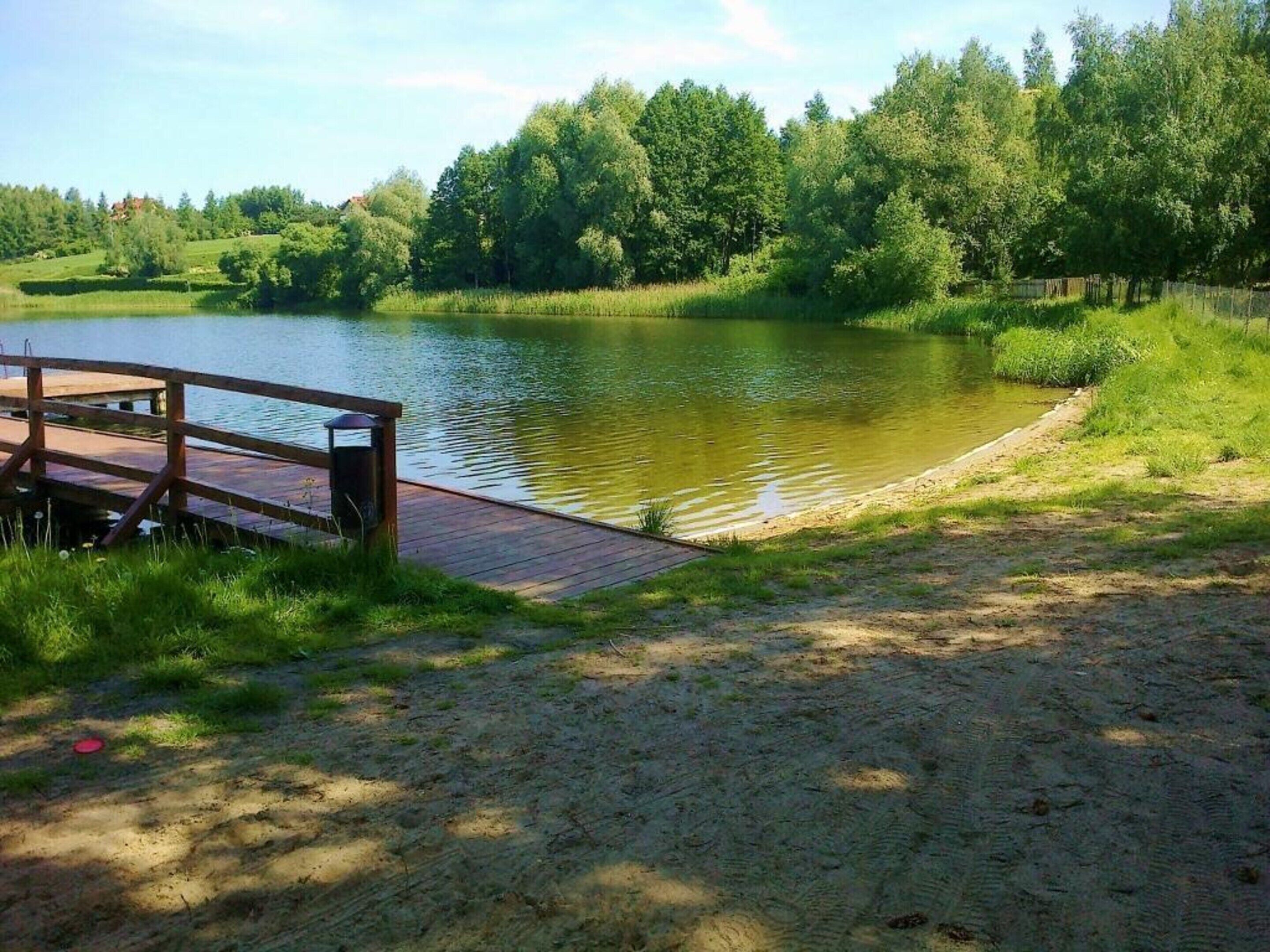 Eine Holzstele, die sich in einen ruhigen See erstreckt, umgeben von üppigem Grün.
