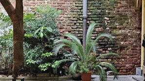 A courtyard with a brick wall, a potted plant, a statue, and a metal pole. - Elegant apartment in the heart of Vigevano, a stone's throw from Piazza Ducale (Vigevano)