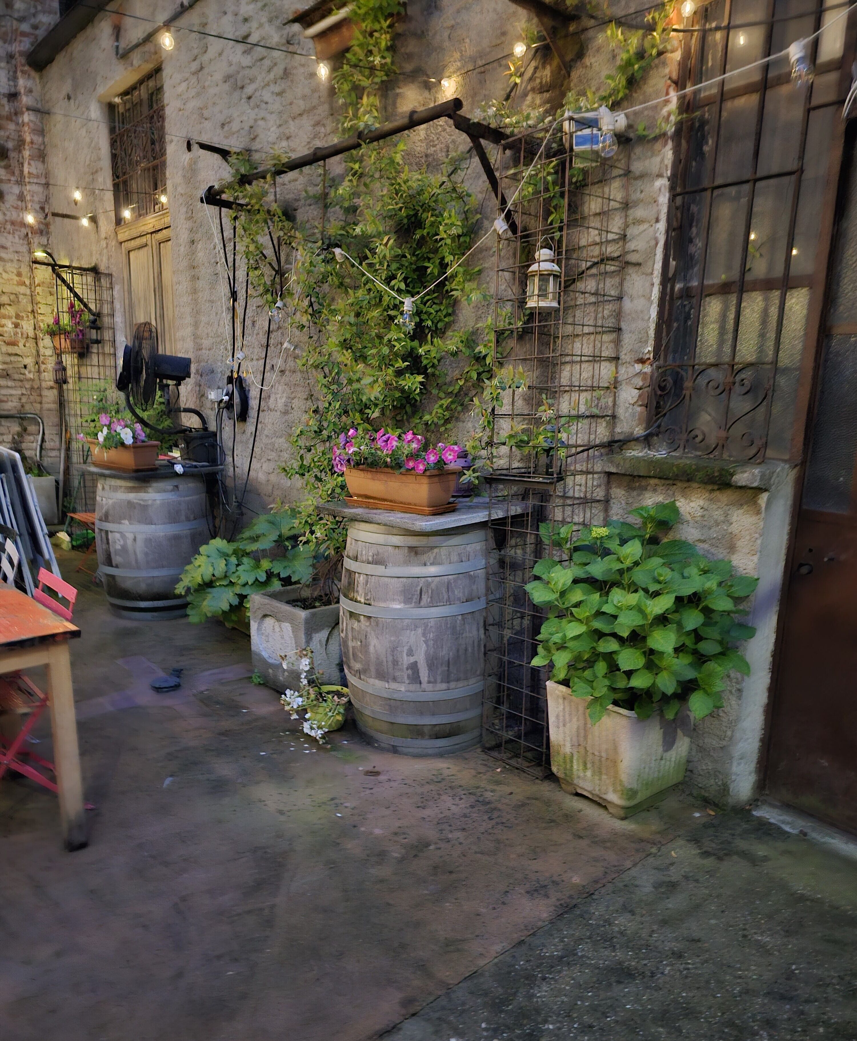 A rustic outdoor area with barrels, potted plants, and a metal structure.