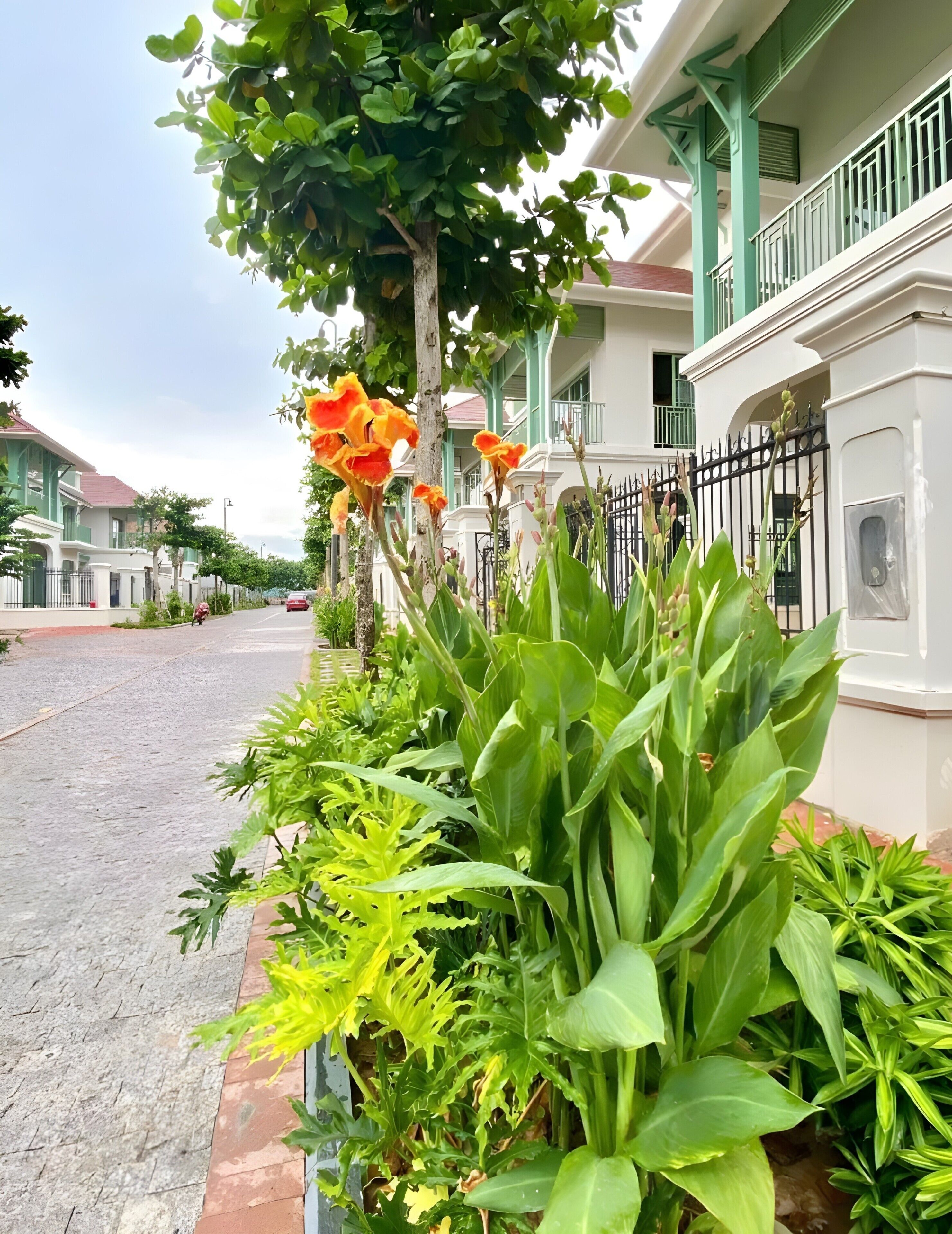 Luxury Villa, City View | Living area