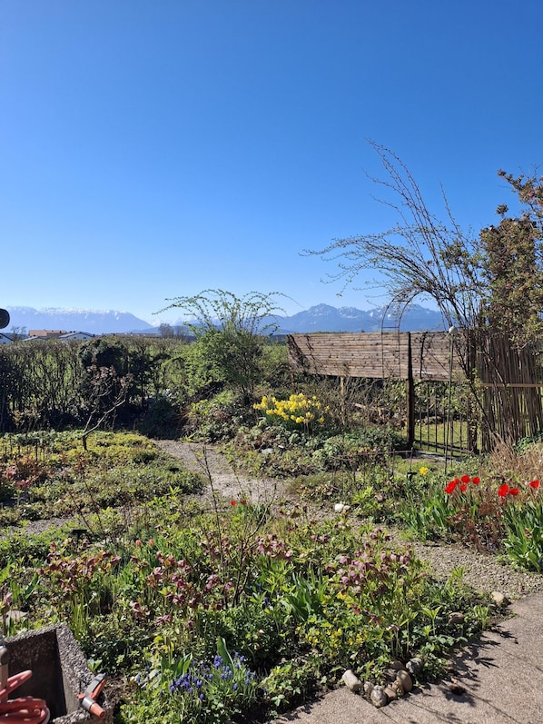 A garden with a variety of plants and flowers, a wooden structure, and a view of mountains in the background.