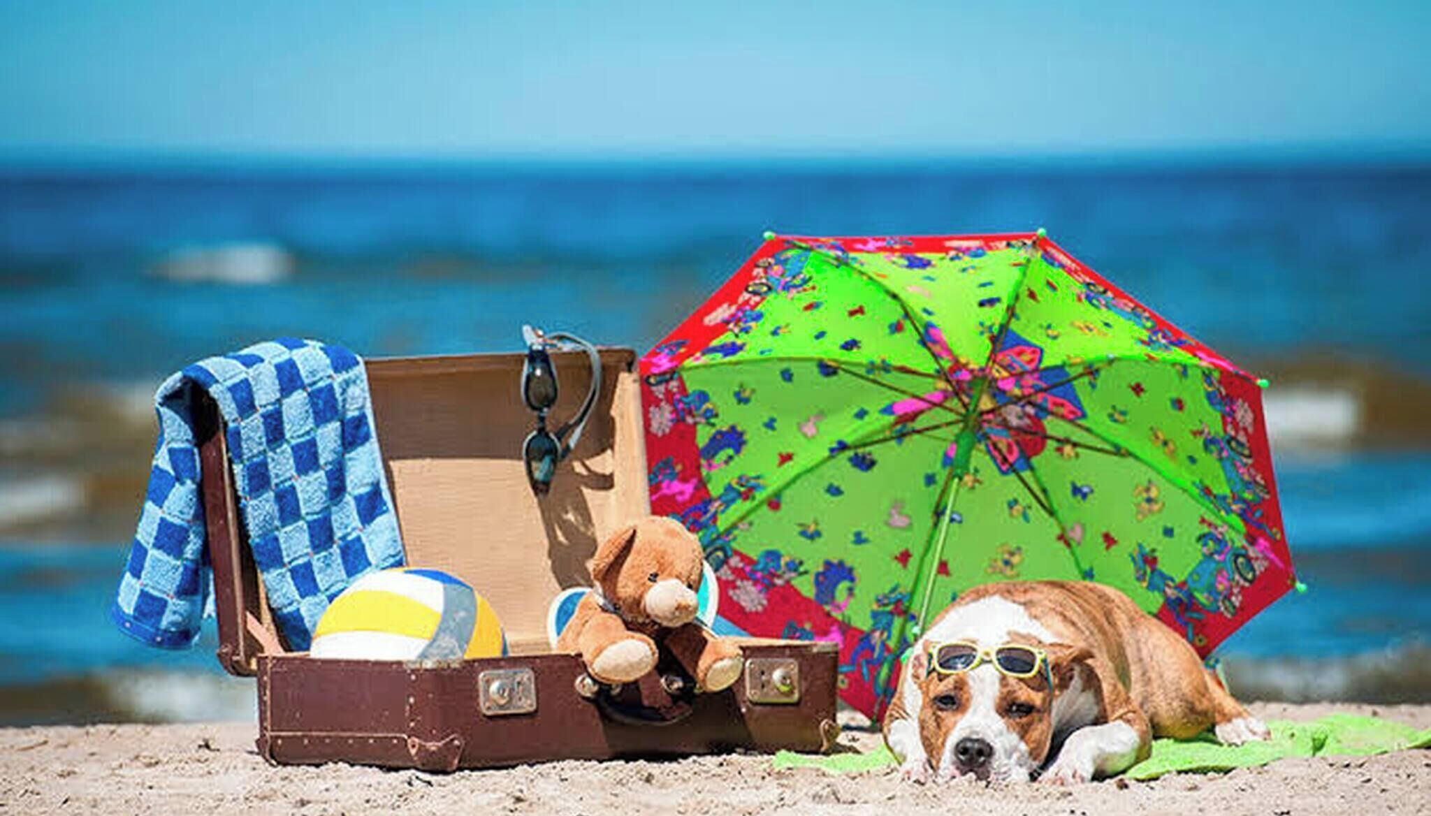 Plage