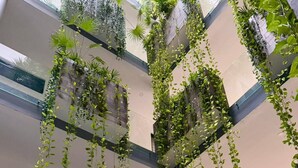 Un atrium à plusieurs niveaux, agrémenté de plantes suspendues et doté d’une architecture moderne.