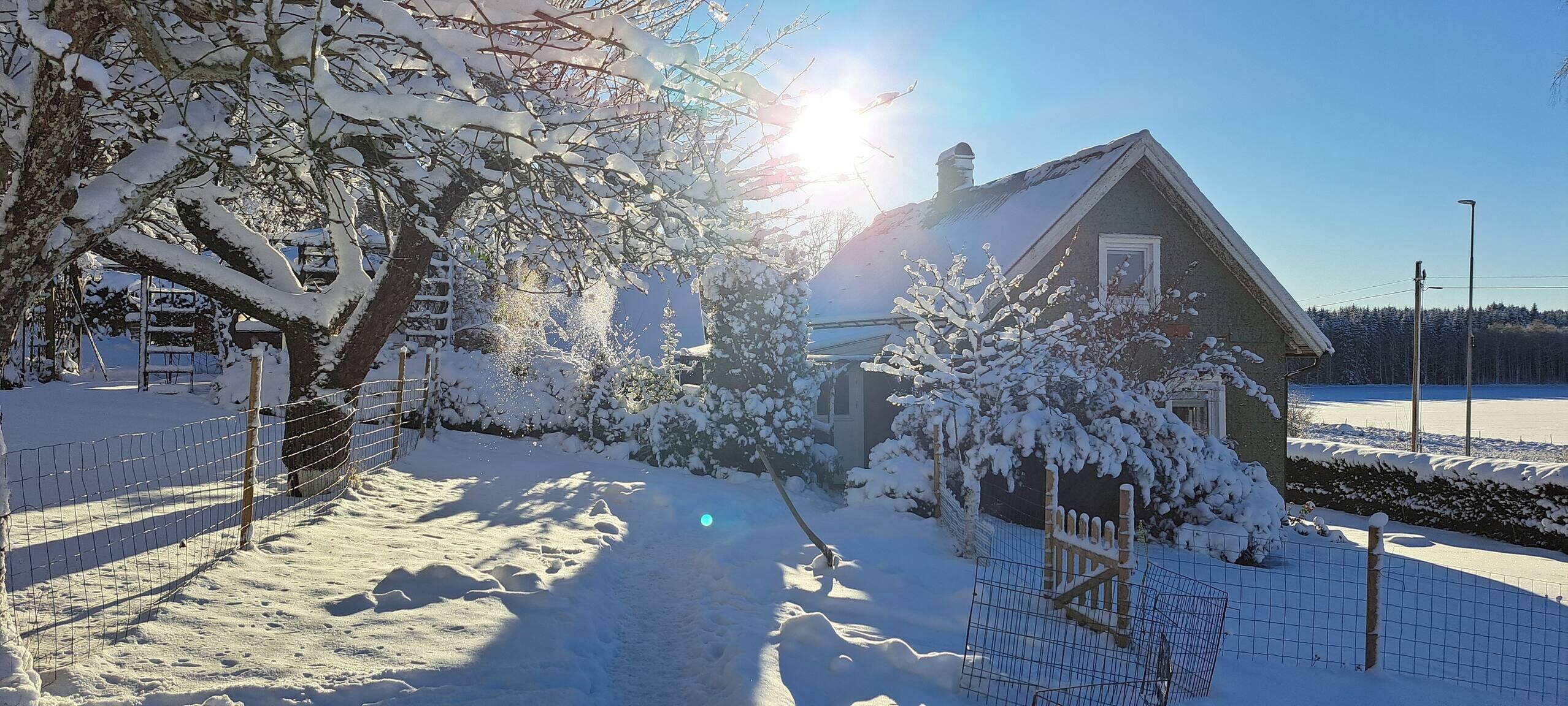 Parco della struttura