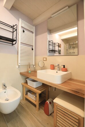 Regadera, secadora de cabello, bidet, toallas 