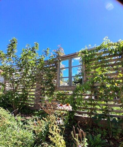 Cozy and charming vacation home in Langhe, for families/small groups