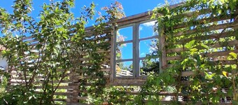 Cozy and charming vacation home in Langhe, for families/small groups