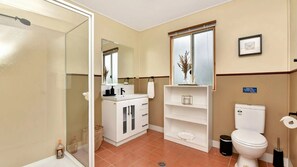 Shower, hair dryer