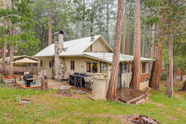 Eine rustikale Holzhütte mit einem Steinkamin, einer Veranda und einem Grillplatz.