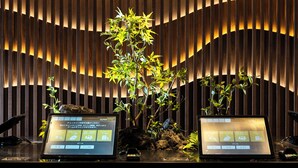 A reception desk with a digital display, a potted plant, and a wooden slatted wall. - SUPER HOTEL Kirishima Natural Hot Spring (Kirishima)