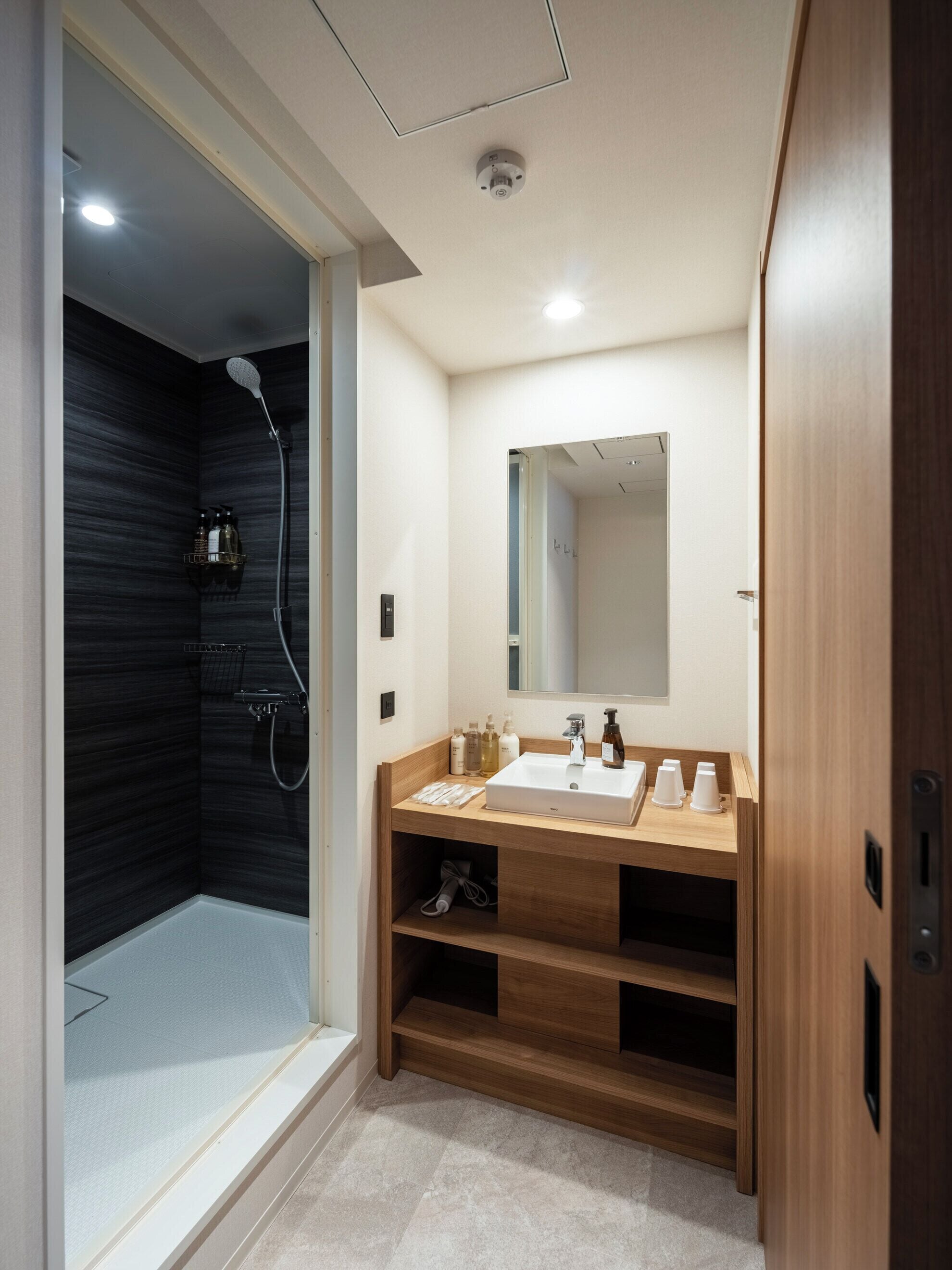 A modern bathroom with a shower, a sink, and a mirror.