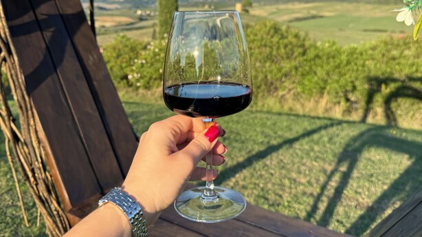A person holding a wine glass with a vineyard view in the background. - Podere Novo (Bibbona)