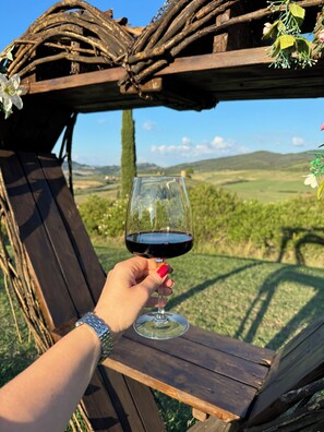 A person holding a wine glass with a vineyard view in the background. - Podere Novo (Bibbona)
