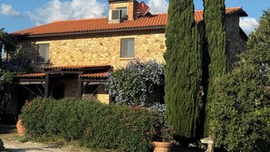 A stone house with a tiled roof, surrounded by a gravel path and greenery. - Podere Novo (Bibbona)