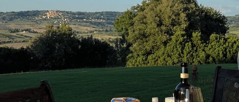 A table set outdoors with a view of a distant town, a book, a bottle of wine, and a watermelon.