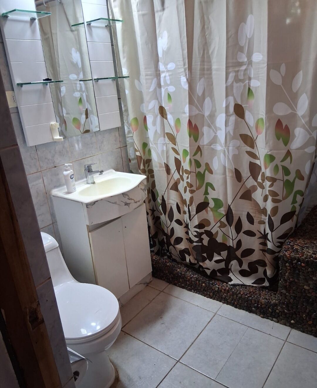 Hair dryer, towels, soap, toilet paper